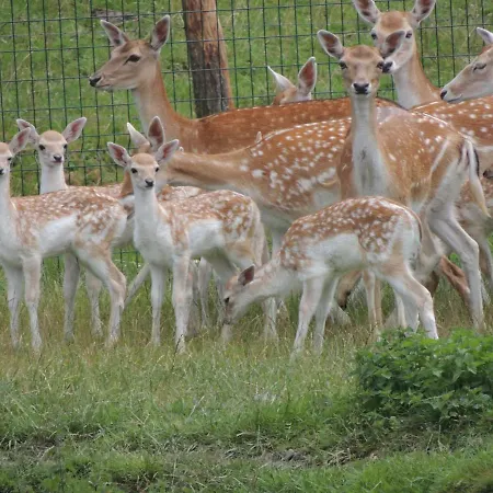 Venkovský dům 1 De Renuamont