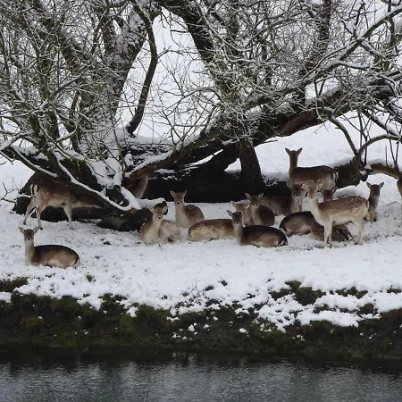 Casa de Campo 1 De Renuamont *